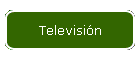 Televisi�n