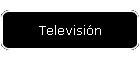 Televisi�n