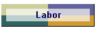Labor