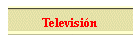 Televisi�n