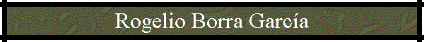 Rogelio Borra Garc�a
