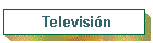 Televisi�n