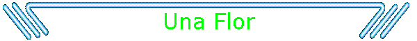 Una Flor