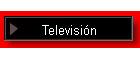 Televisin