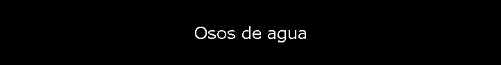 Osos de agua
