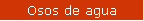 Osos de agua