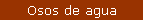 Osos de agua