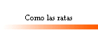 Como las ratas