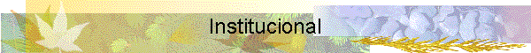 Institucional