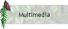 Multimedia