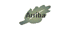 Arriba