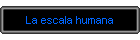 La escala humana