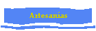 Artesan�as