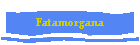 Fatamorgana