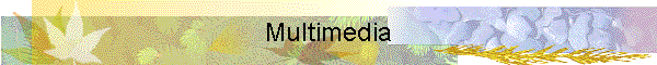 Multimedia